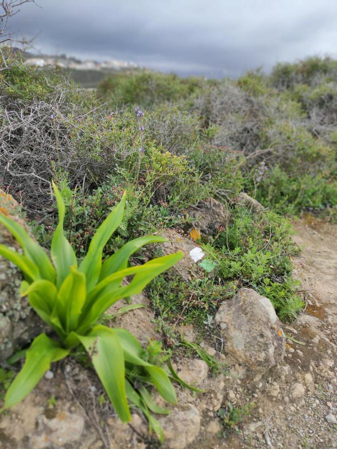 Appartamento La Casita del Sendero La Guancha Esterno foto